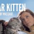 Dear Kitten Video Series: Regarding Friendship