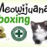 Cats Review: MEOWIJUANA Meowi-Waui Catnip.